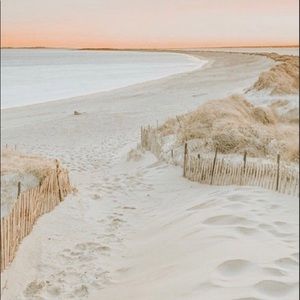 Meet your Posher, Molly